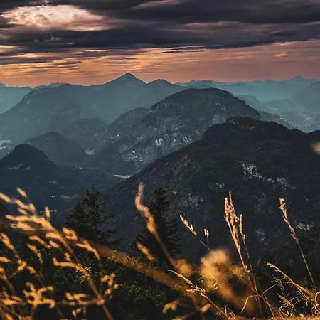 Am Predigtstuhl * Bad Reichenhall